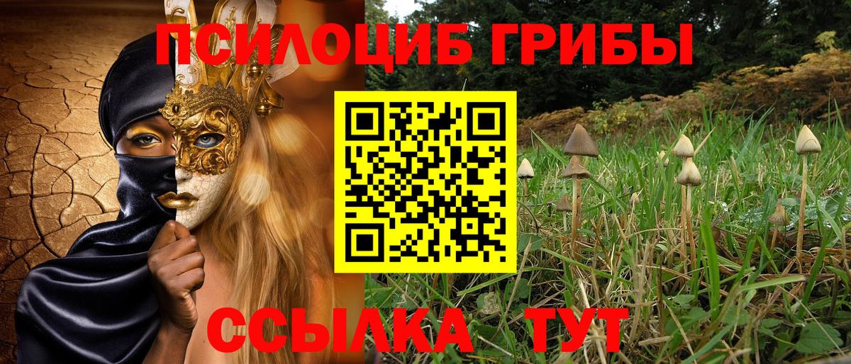 Рыбинск  Галлюциногенные грибы мухоморы  Псилоцибиновые грибы мицелий  Вход с VPN 
