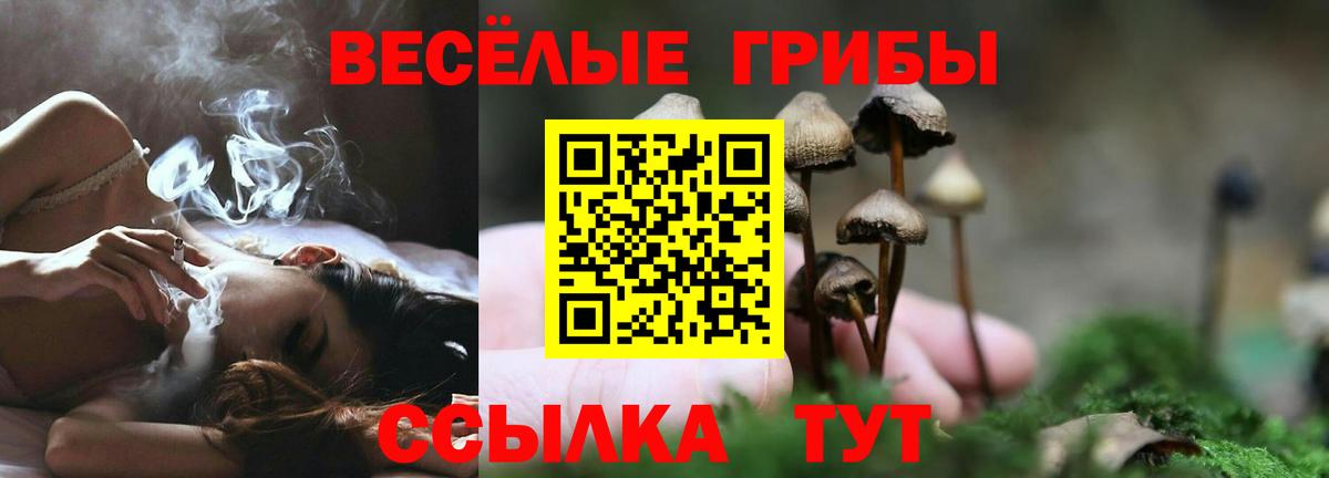 Псилоцибиновые грибы Magic Shrooms Рыбинск